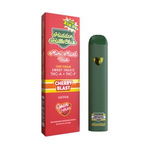 HIDDEN HILLS SWEET TREATZ MINI MART BAR VAPE | 1G