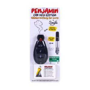 SMYLE PENJAMIN CAR KEY 510 BATTERY